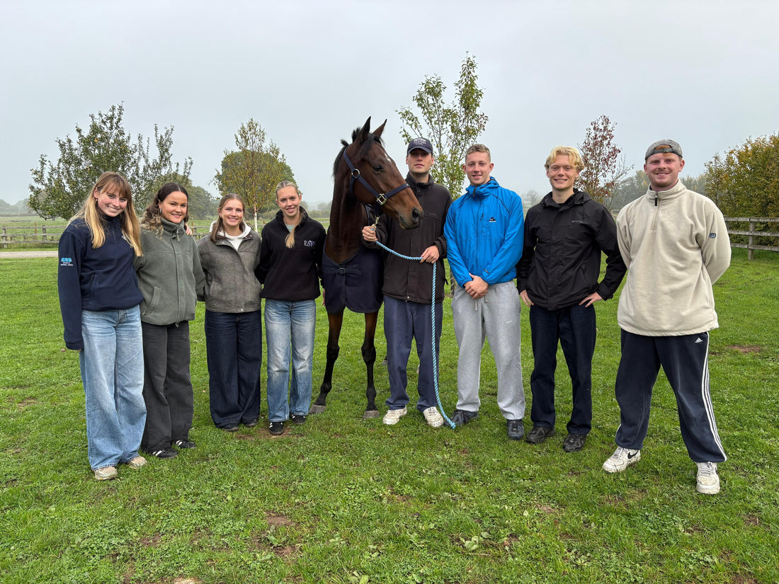 Members Spend The Morning At The Yard!