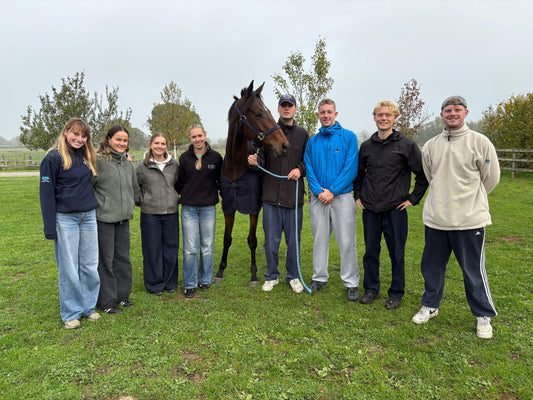 Members Spend The Morning At The Yard!