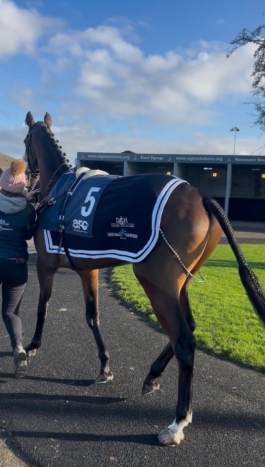 Le Beau Gosse's Run At Southwell!