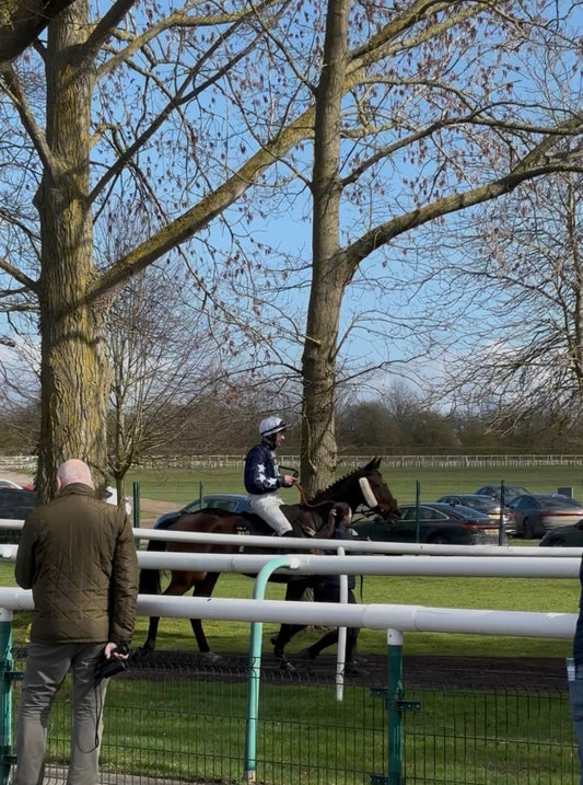 The Best Wednesday Of The Year, and Cheltenham.